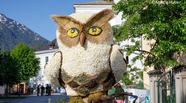 Narzissenfest 7 - Kerschner